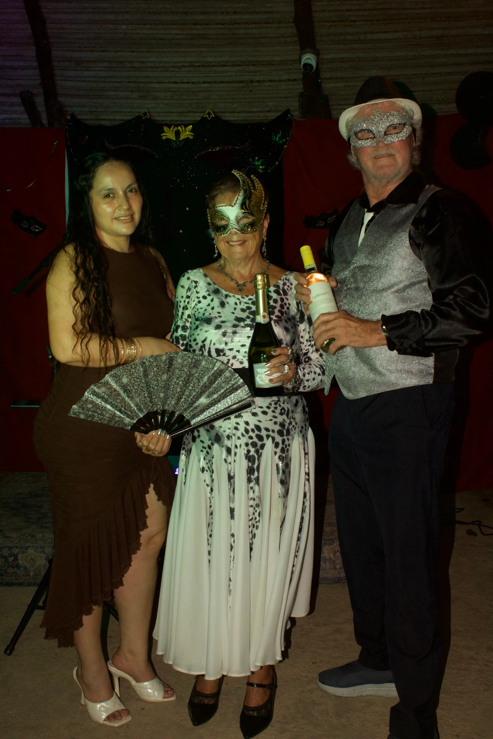Venetian Carnival Night