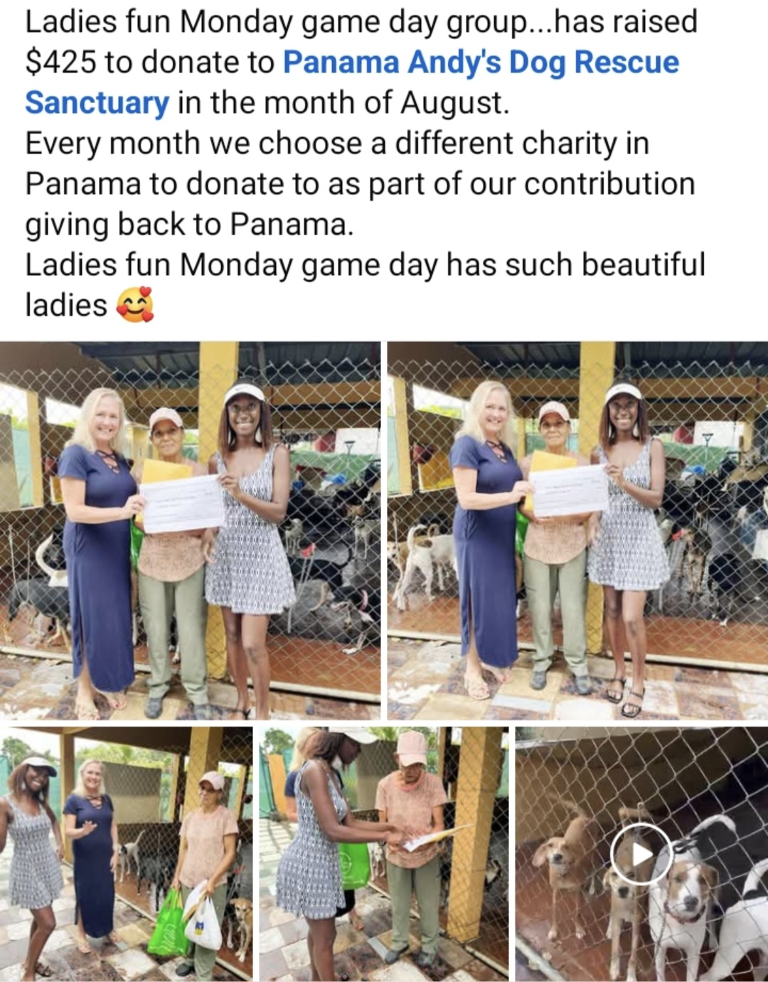Supporting Andy's Dog Rescue Sanctuary